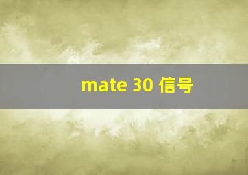 mate 30 信号